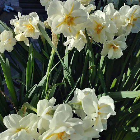 Le Des Trois Seigneurs