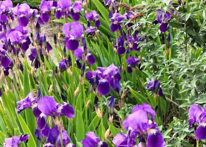 Apartmán Le Des Trois Seigneurs *