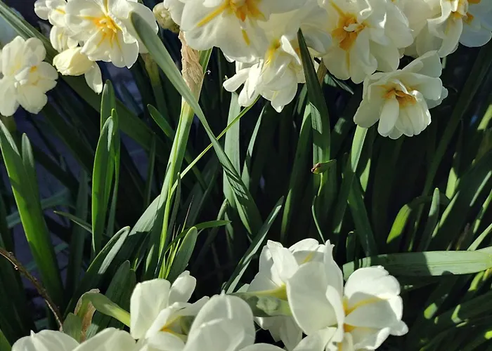 Le Des Trois Seigneurs